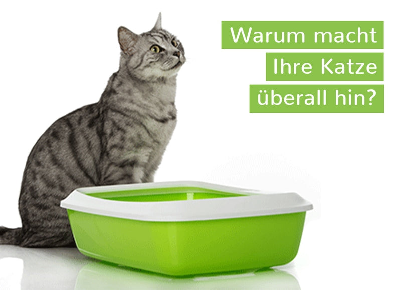 2 Min 2 Mio DEAL für die Katze - Die Katzenspielangel mit dem Tierschutzkennzeichen