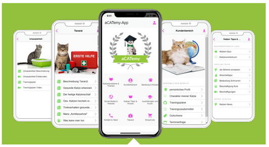 GRATIS 2 Min 2 Mio DEAL für die aCATemy Katzen App - der digitale Katzencoach